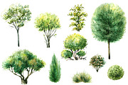 Watercolor  Trees and Bushes, a Decorative Illustration by Valentyna Smordova (Thumbnail 3 of 6)