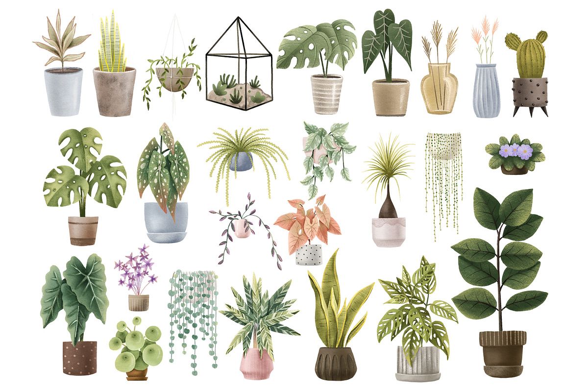 Cozy House Plants Clipart, a Decorative Illustration by the_myro (Photo 2 of 10)