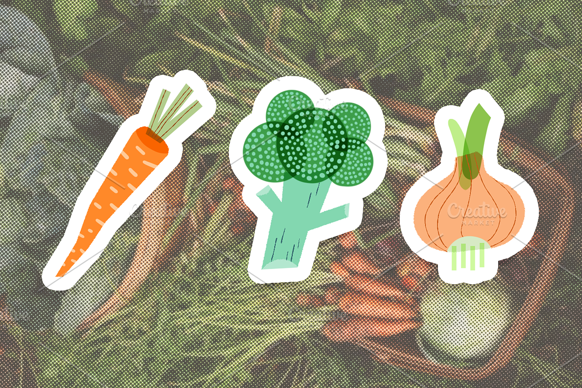 Organic Food Packaging Kit, a Food Illustration by Schumacher Shop (Photo 21 of 25)