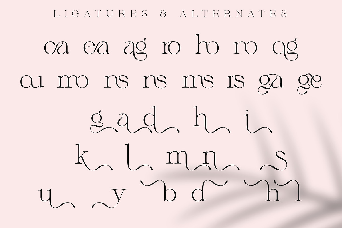 Megans | Elegant Stylish Serif, a Serif Font by Sealoung (Photo 16 of 16)