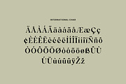 Aluvion Display Modern Serif Font, a Serif Font by UICreative (Thumbnail 11 of 12)
