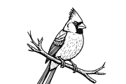 Elegant Cardinal Illustration, a Food Illustration by CarWrap design (Thumbnail 3 of 3)