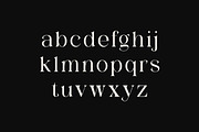 Agnostic Grace Elegant Serif Font, a Serif Font by UICreative (Thumbnail 5 of 13)
