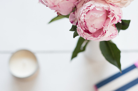 Pink Peonies Stock Image, a Photo by JanaBishopCollection
