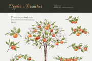 Apples and branches Watercolor set, an Illustration by NataliVA (Thumbnail 2 of 9)