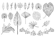 Palm Leaves svg, Botanical png, a Decorative Illustration by Watercolor_Vector Graphic (Thumbnail 2 of 25)