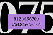 Catalyone - Fashion Font, a Serif Font by RockboyStd (Thumbnail 10 of 12)