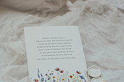 Waterolor Floral Borders Bundle, a Decorative Illustration by Lana Elanor (Thumbnail 76 of 97)