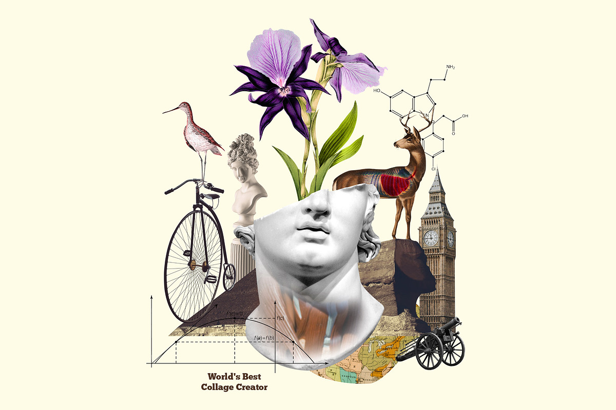 World's Best Collage Creator, an Animal Illustration by SNIPESCIENTIST (Photo 31 of 48)