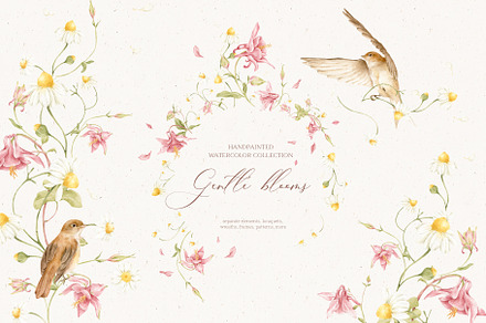 Gentle Blooms - flowers clipart, an Illustration by Nastya.Chay