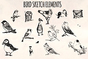 Bird Sketches 16 Hand Drawn Vectors, an Animal Illustration by Violet LeBeaux (Thumbnail 1 of 3)