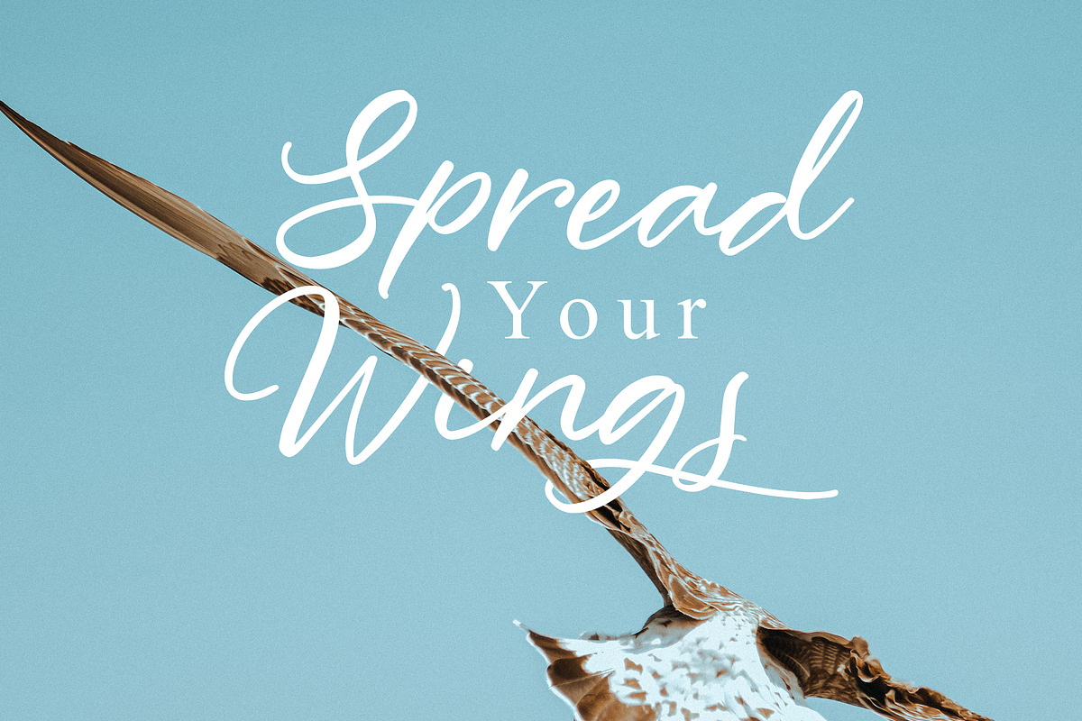 South Highland-Beautiful Script Font, a Script Font by AQR Studio (Photo 7 of 7)