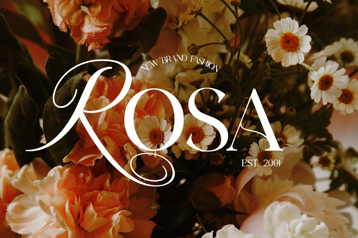Diana Romance Classical Serif Font, a Serif Font by UICreative (Photo 12 of 13)