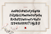 Tenshoku | Japanese Solid Brush, a Handwritten Font by Denustudios (Thumbnail 10 of 12)