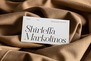 Fostela Actions Modern Classy Serif, a Serif Font by Ermedia Studio (Thumbnail 2 of 10)