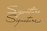 Miss Stanfort Pro, a Script Font by Sudtipos (Thumbnail 5 of 5)