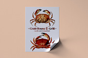 Vintage Crab illustrations, an Animal Illustration by Natalka Dmitrova art (Thumbnail 4 of 12)