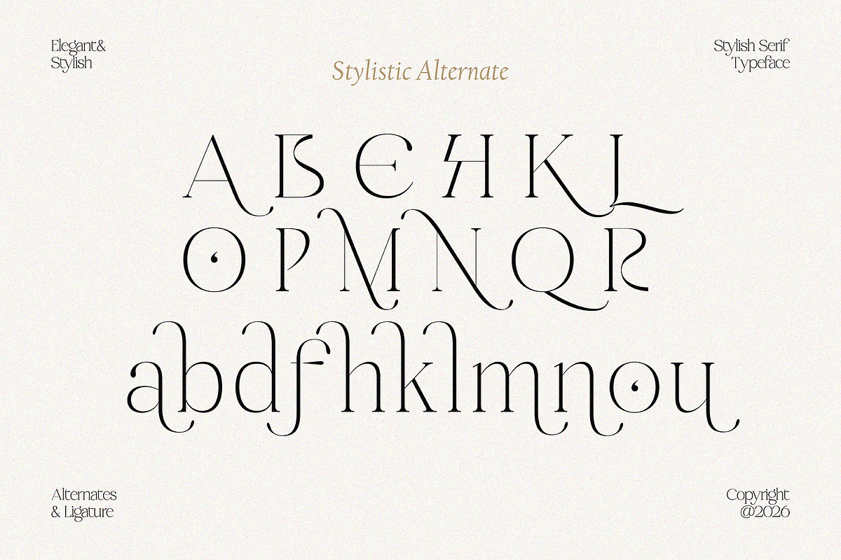 Midnight Obstacle, a Serif Font by Godbless Studio (Photo 8 of 14)