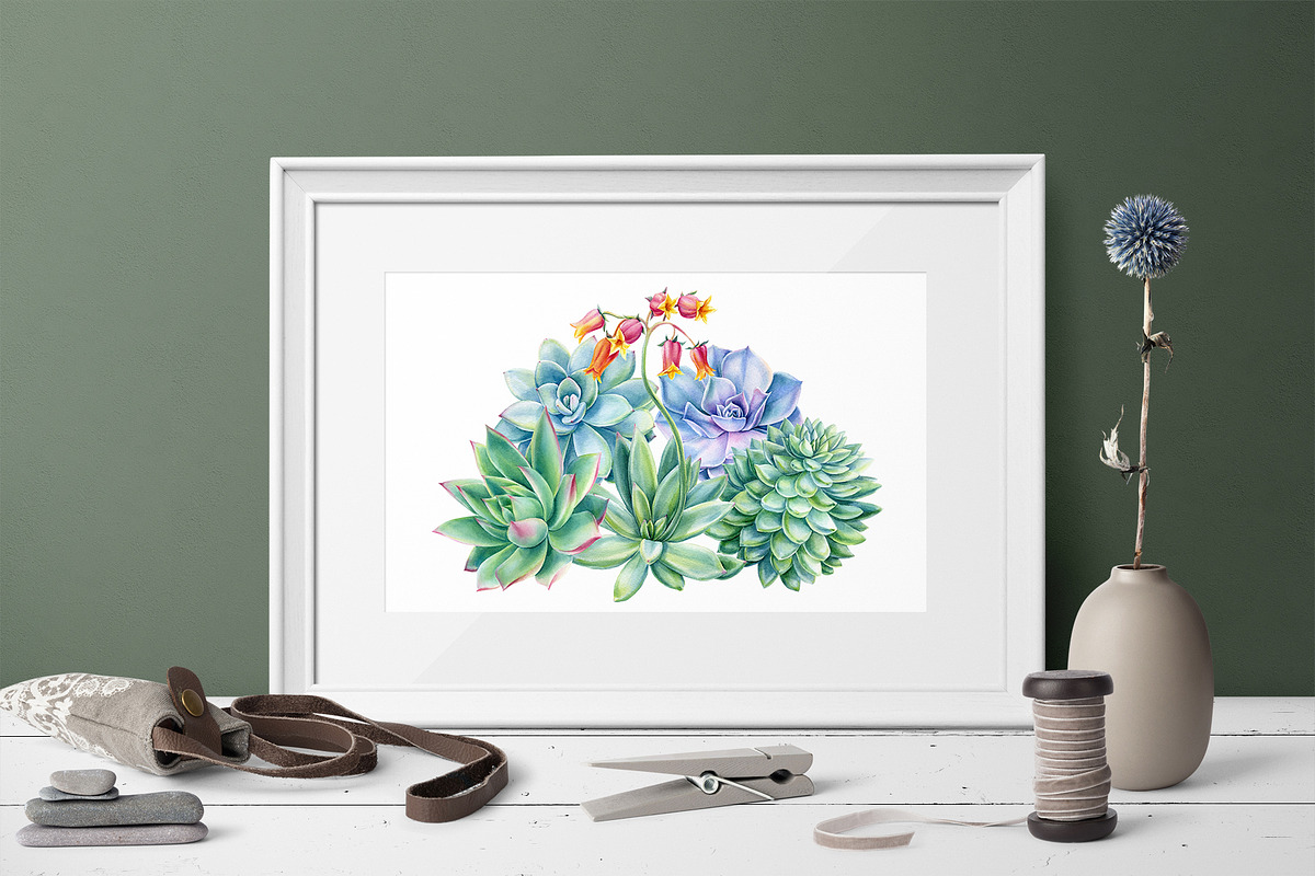 Succulents Botanical Watercolor, a Background Graphic by Hanna Hryharenka (Photo 12 of 15)
