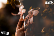 25 Matte LUTs and Presets Pack, a Plug-in Add-On by Eldamar Studio (Thumbnail 8 of 8)