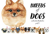 Breeds of dogs - watercolor. Part 2, an Animal Illustration by KatBranchArt (Thumbnail 1 of 5)