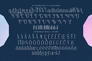Authentic Megarilo Modern Sans Serif, a Sans Serif Font by Letterena Studios (Thumbnail 14 of 15)