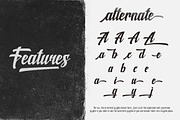 New shine script, a Script Font by Rvq Type Foundry (Thumbnail 4 of 6)