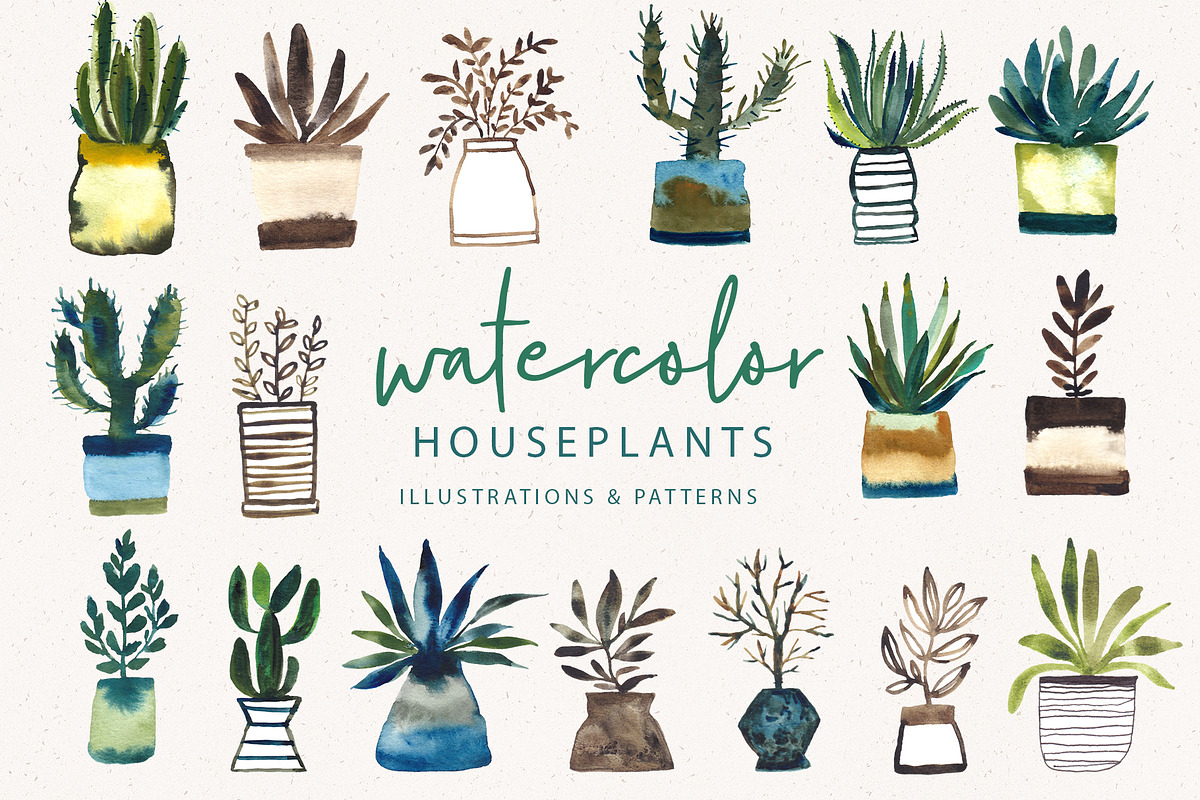 Watercolor Houseplant Collection, an Illustration by Sweet Fig (Photo 1 of 8)