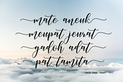 paradise calligraphy modern + Bonus, a Script Font by Teweka (Thumbnail 5 of 8)