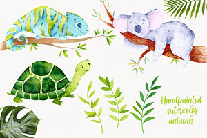 50% OFF Jungle Animals & Dinosaurs