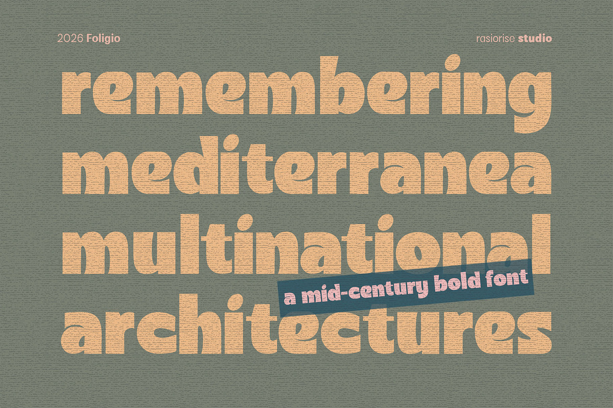 Foligio Font, a Sans Serif Font by Rasiorise Studio (Photo 3 of 13)