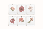 Blush Floral Vector Illustrations, a Decorative Illustration by Emma Webb Studio (Thumbnail 4 of 12)