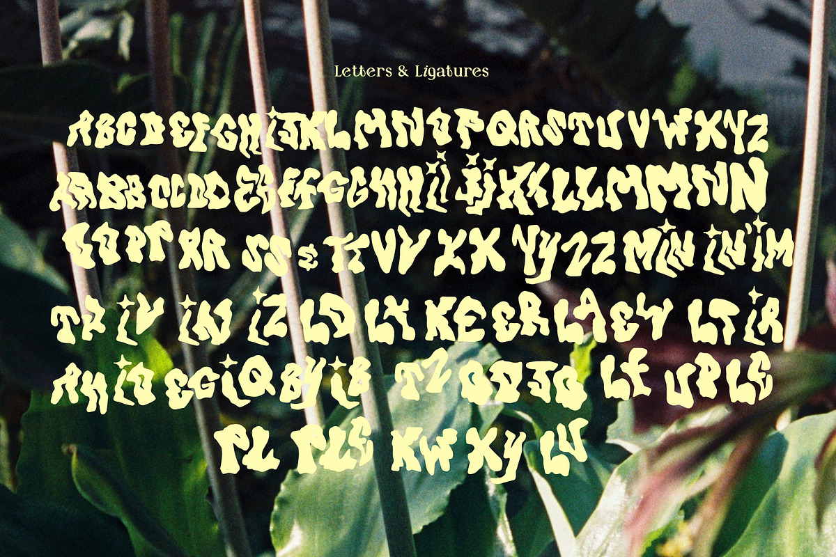 Les Fleurs a Wavy Fluid Font, a Sans Serif Font by Emma Make (Photo 2 of 6)