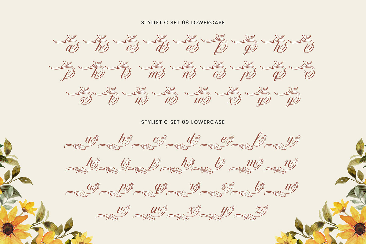 Chetta Money Typeface, a Script Font by alit design (Photo 11 of 17)