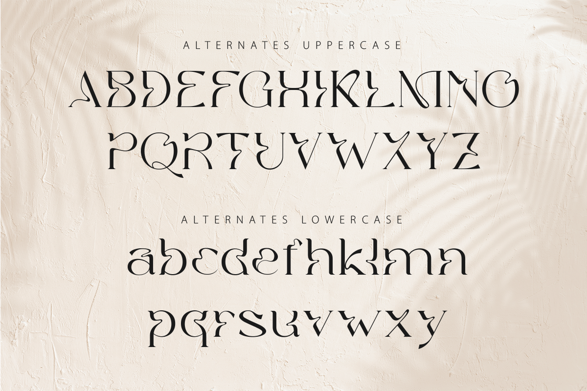 Marie Gold - Modern Unique Serif, a Serif Font by RagamKata (Photo 8 of 10)