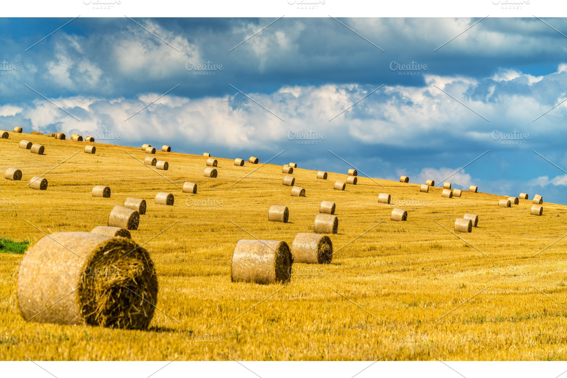 Straw bales on a wheat field in slovakia featuring agriculture, field, and, a Nature Photo by Leonid Andronov