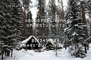 Fuzzbear - Playful Handwritten Font, a Handwritten Font by PROF STUDIO (Thumbnail 2 of 3)