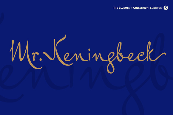 Mr Keningbeck Pro preview 7