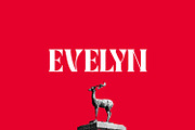 Evelyn Display, a Serif Font by Foxtype (Thumbnail 1 of 7)