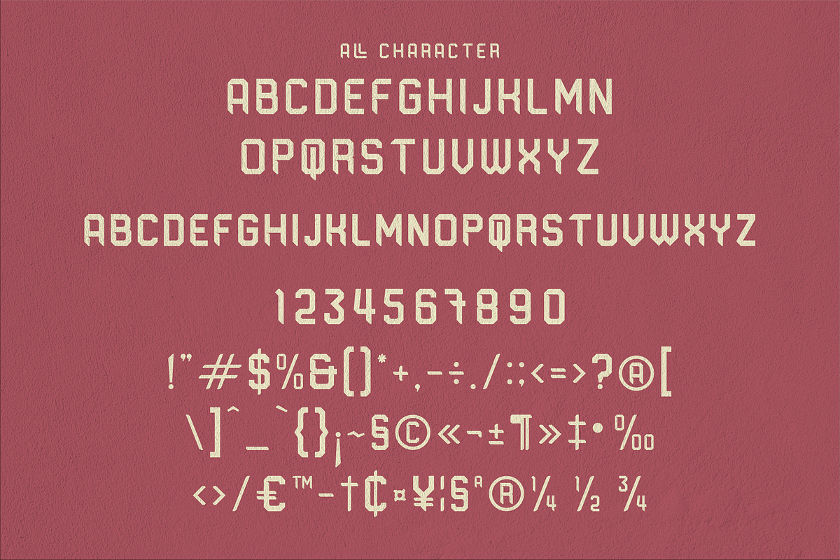 Alodraca Sans Serif Display Font, a Serif Font by Storytype Studio (Photo 12 of 15)