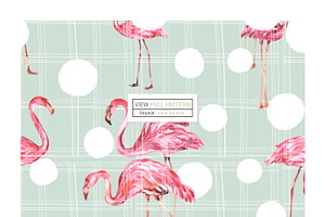 Flamingo, Patterns Set!