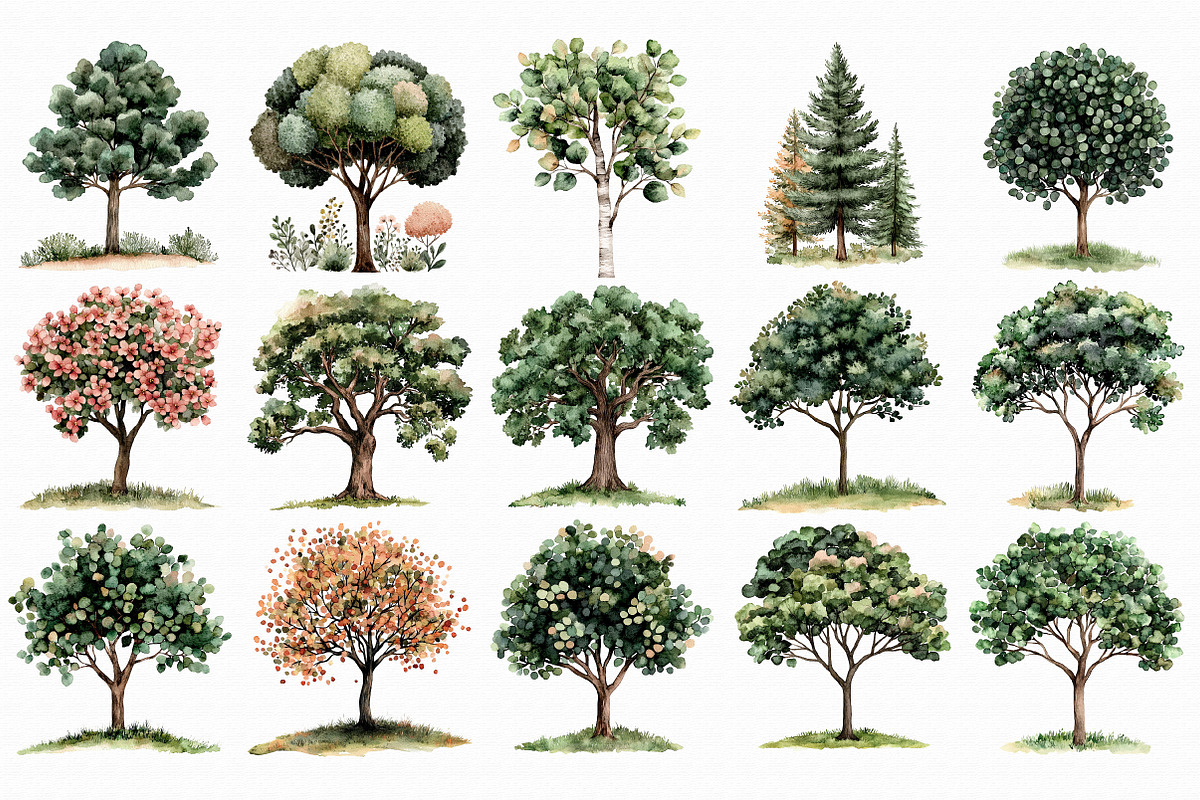 Watercolor Tree Clipart Bundle, an Illustration by Libby Wishes (Photo 3 of 6)