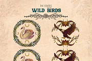 Wild Birds, an Animal Illustration by Ink Stories (Thumbnail 13 of 20)