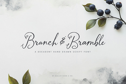 Branch & Bramble Calligraphy Font, a Script Font by Callie Rian & Co.