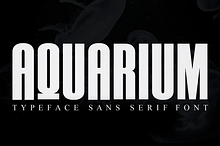 AQUARIUM / Sans Serif Font