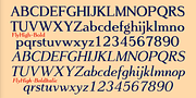 FlyHigh, a Slab Serif Font by Ingrimayne Type (Thumbnail 9 of 10)