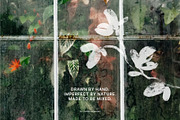 Inked Flowers: elements & art prints, a Decorative Illustration by Yuliia Lashevska (Thumbnail 9 of 9)