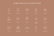 Floral Logo & Illustration, a Branding & Logo Template by Lightsense (Thumbnail 3 of 10)