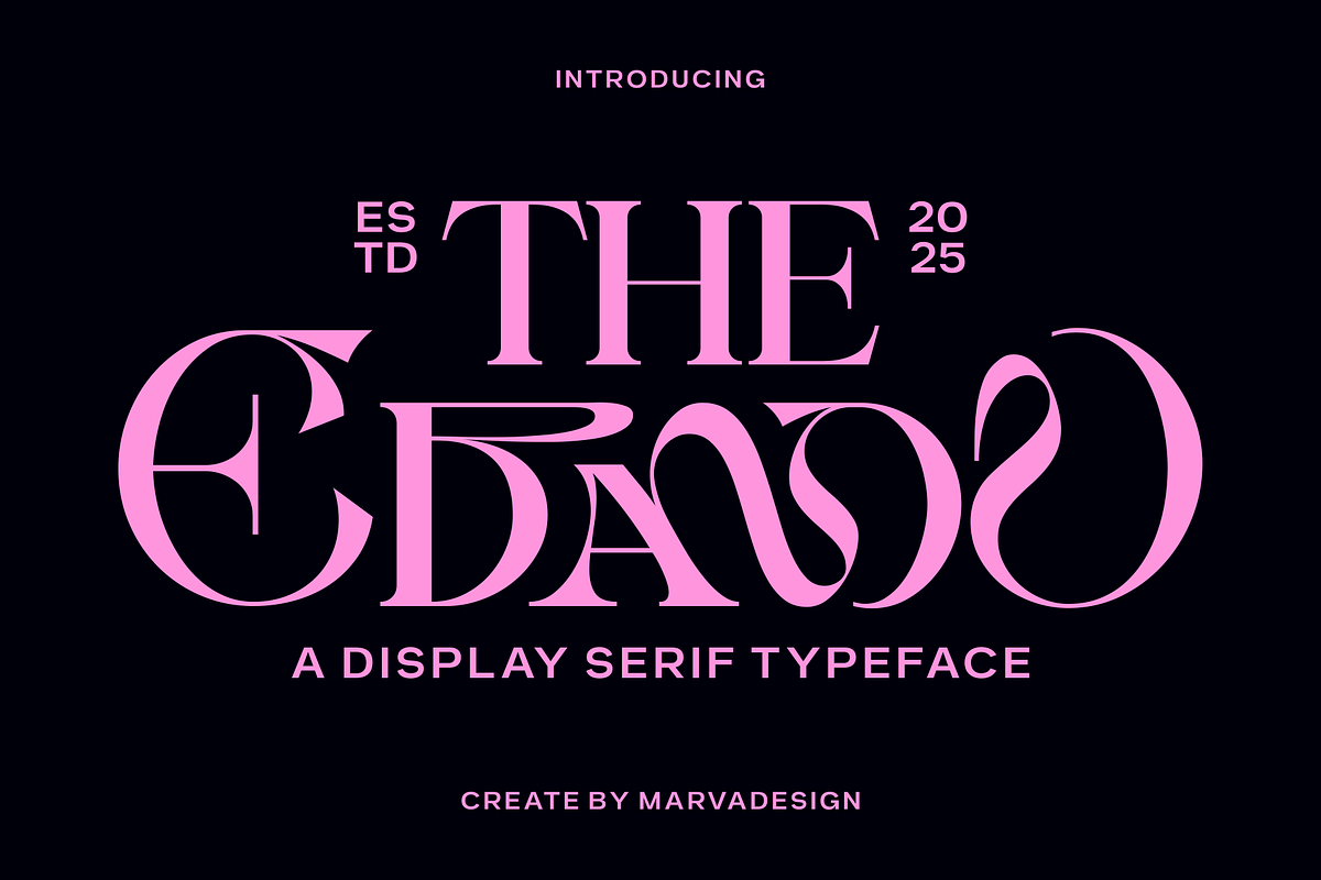 Ebamo - Serif Display Font, a Serif Font by Marvadesign (Photo 1 of 9)