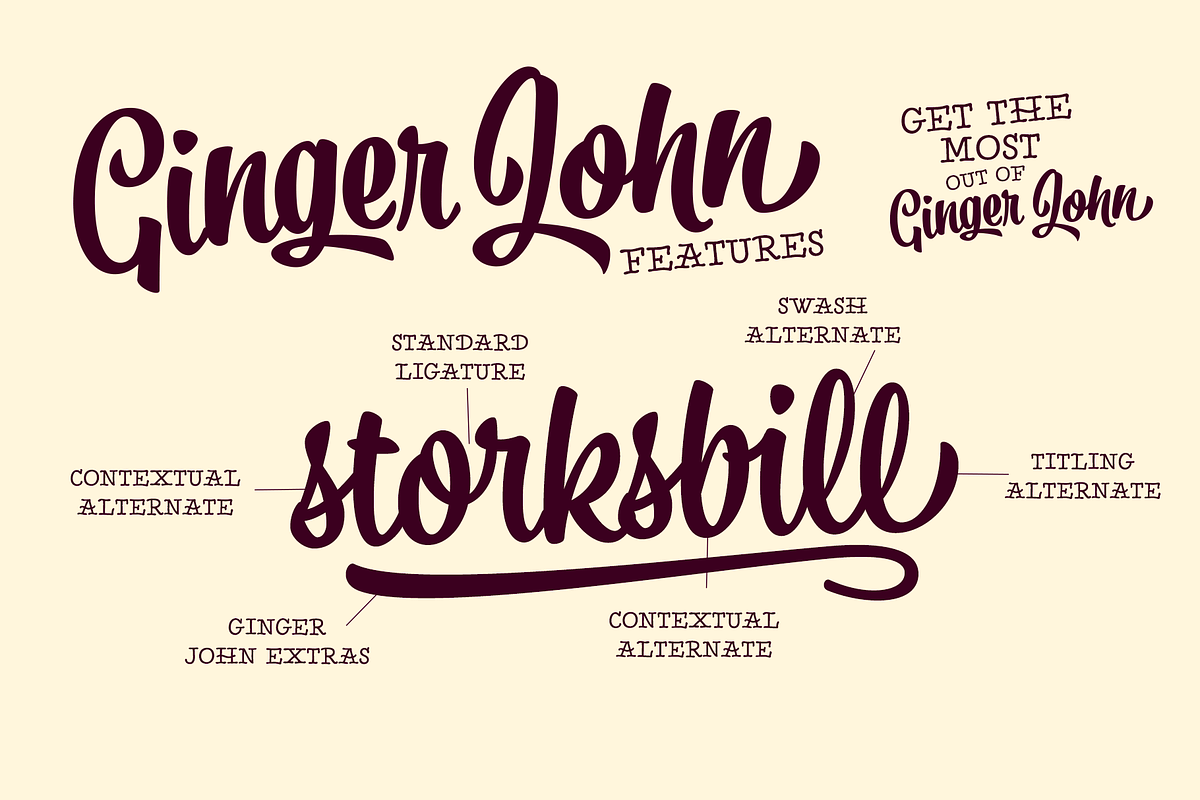 Ginger John Brush Script Family, a Script Font by Fenotype (Photo 6 of 11)
